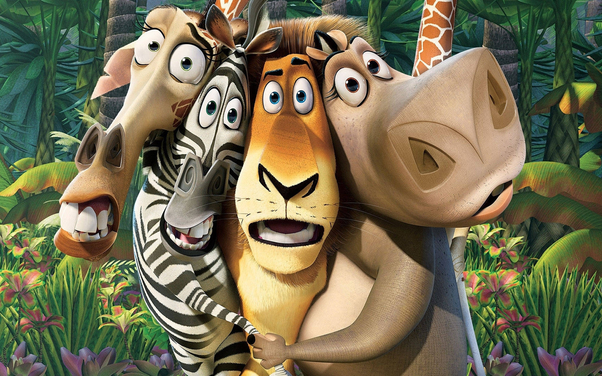 Madagascar, zebra, giraffe, Full HD Desktop Wallpaper