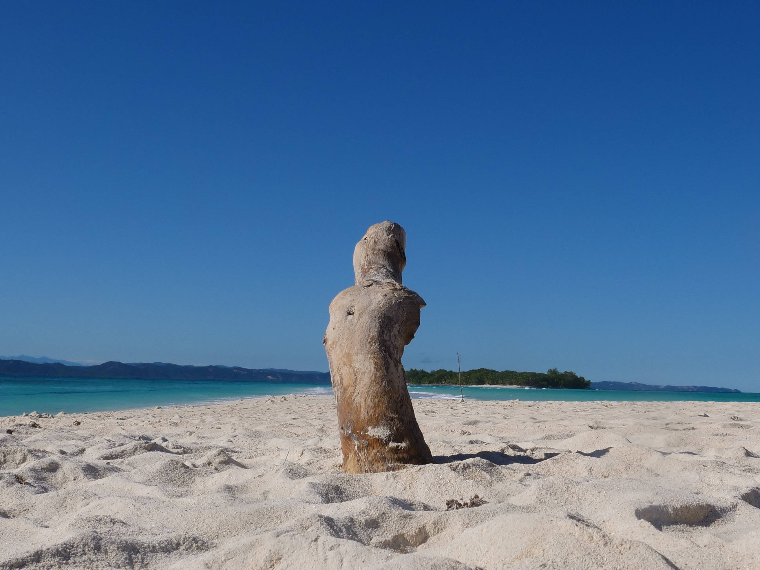 Madagascar, beach, driftwood sculpture, 2K Desktop Wallpaper