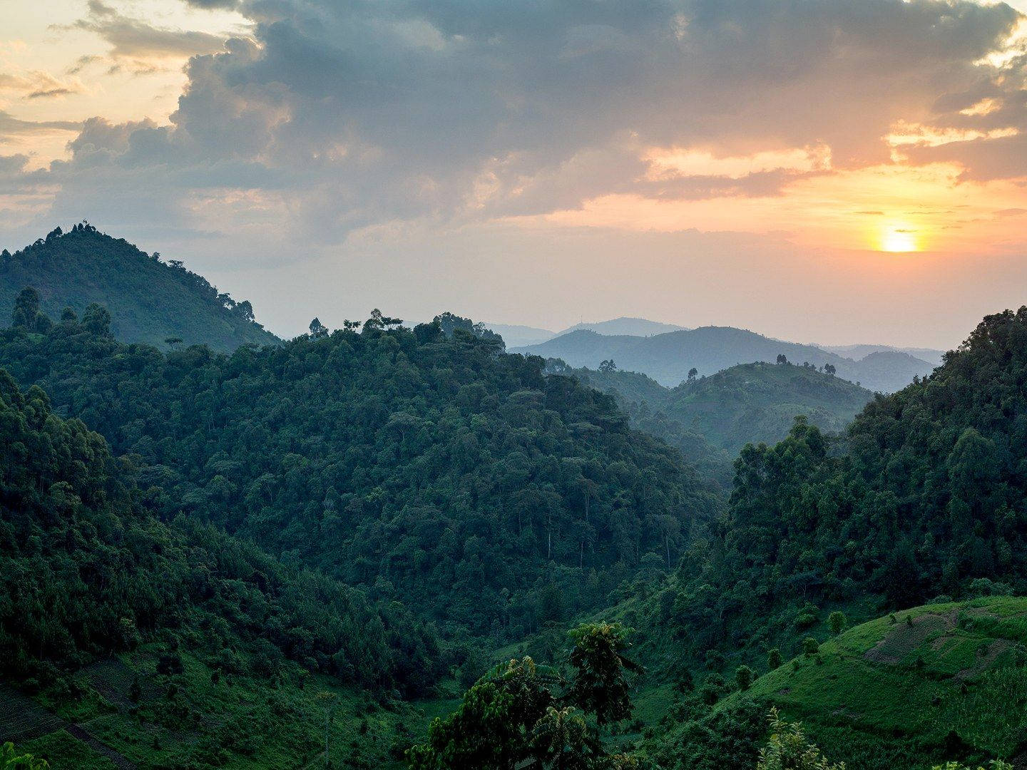 Madagascar, Sunset, orange, HD Desktop Wallpaper