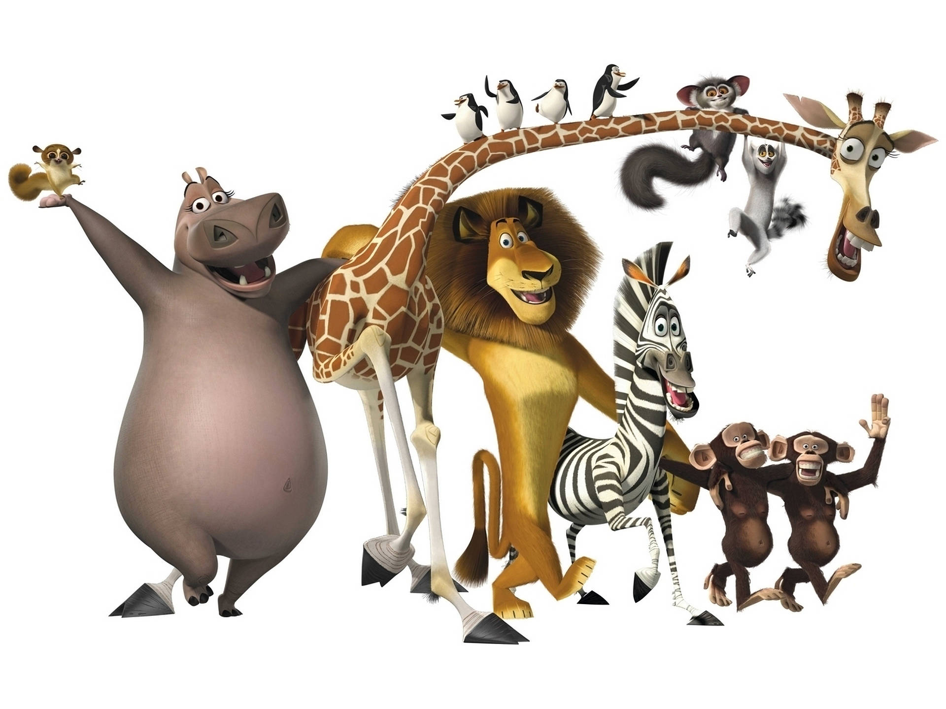 Madagascar, hippo, lion, Full HD Desktop Wallpaper