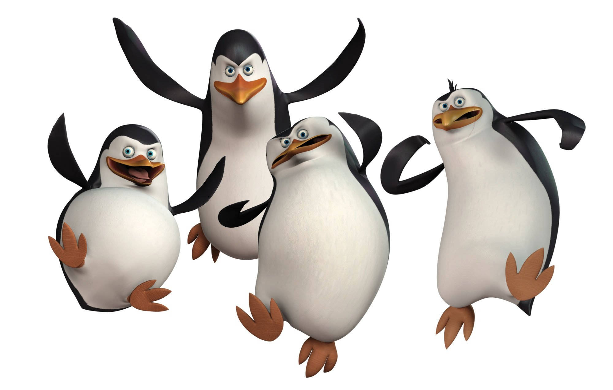 Madagascar, penguins, animated penguins, Full HD Desktop Wallpaper