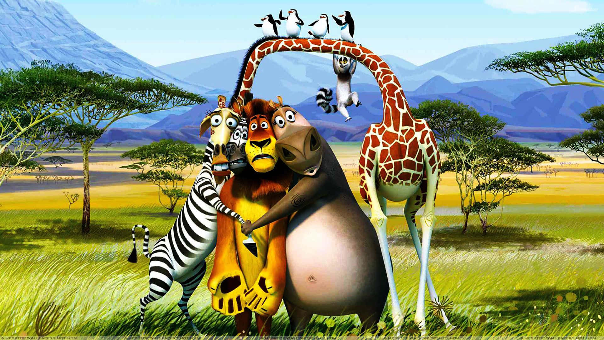 Madagascar, African savannah, grassy savanna, Full HD Desktop Wallpaper