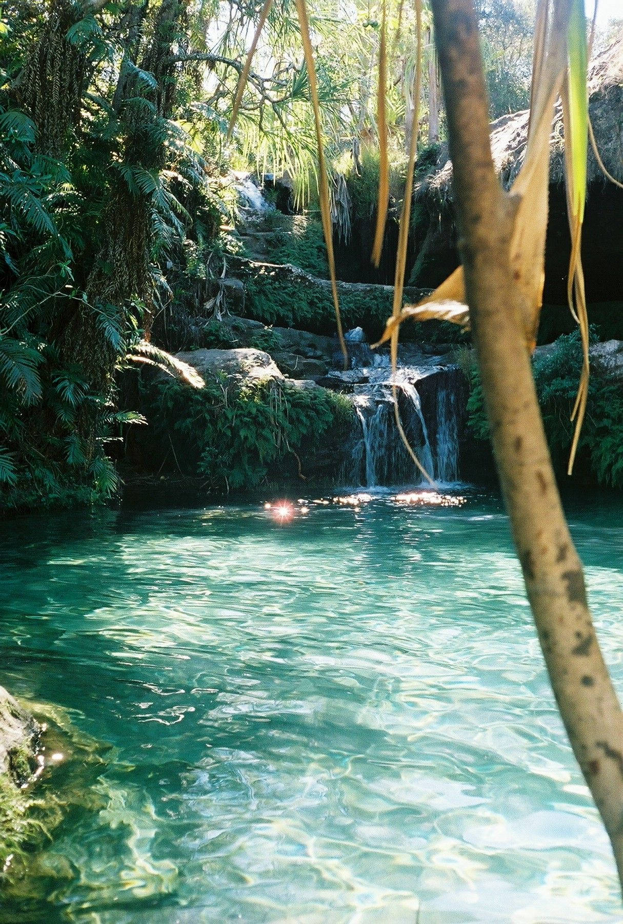 Madagascar, cold spring, lush jungle foliage, HD Phone Wallpaper