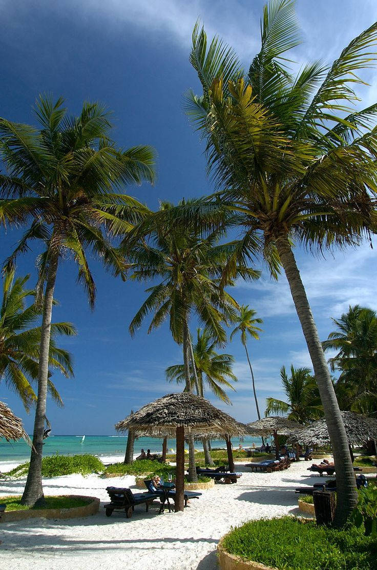 palm trees, Madagascar, white sand beach, SD Phone Wallpaper