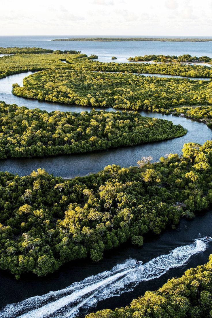 Madagascar, winding river, lush green mangrove forests, SD Phone Wallpaper