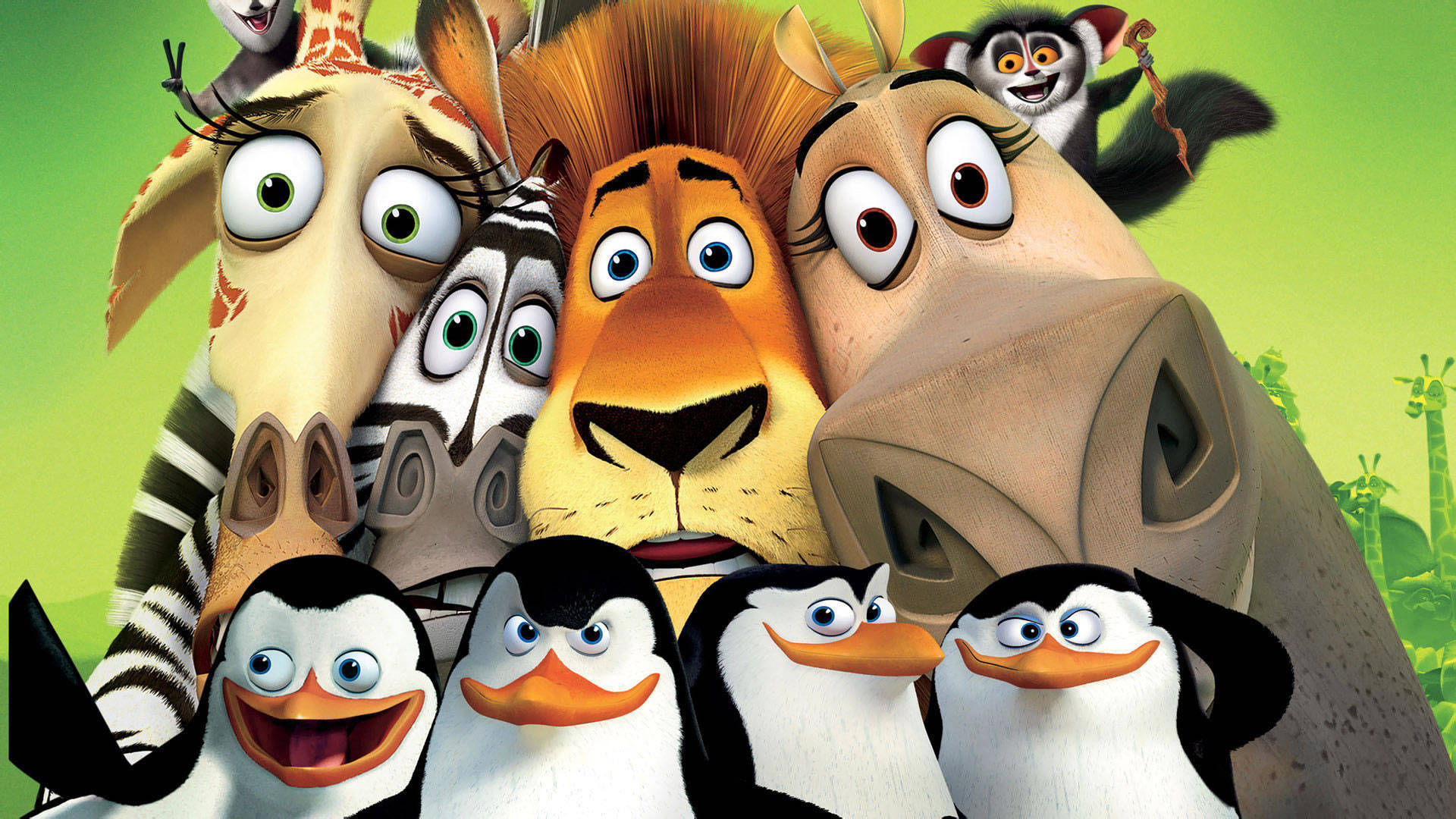 Madagascar, penguins, zebras, Full HD Desktop Wallpaper