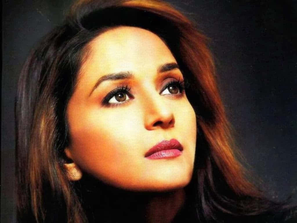 Madhuri Dixit, long brown hair, red lipstick, SD Desktop Wallpaper