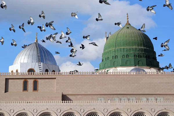 green dome, silver dome, historic stone building, SD Desktop Wallpaper