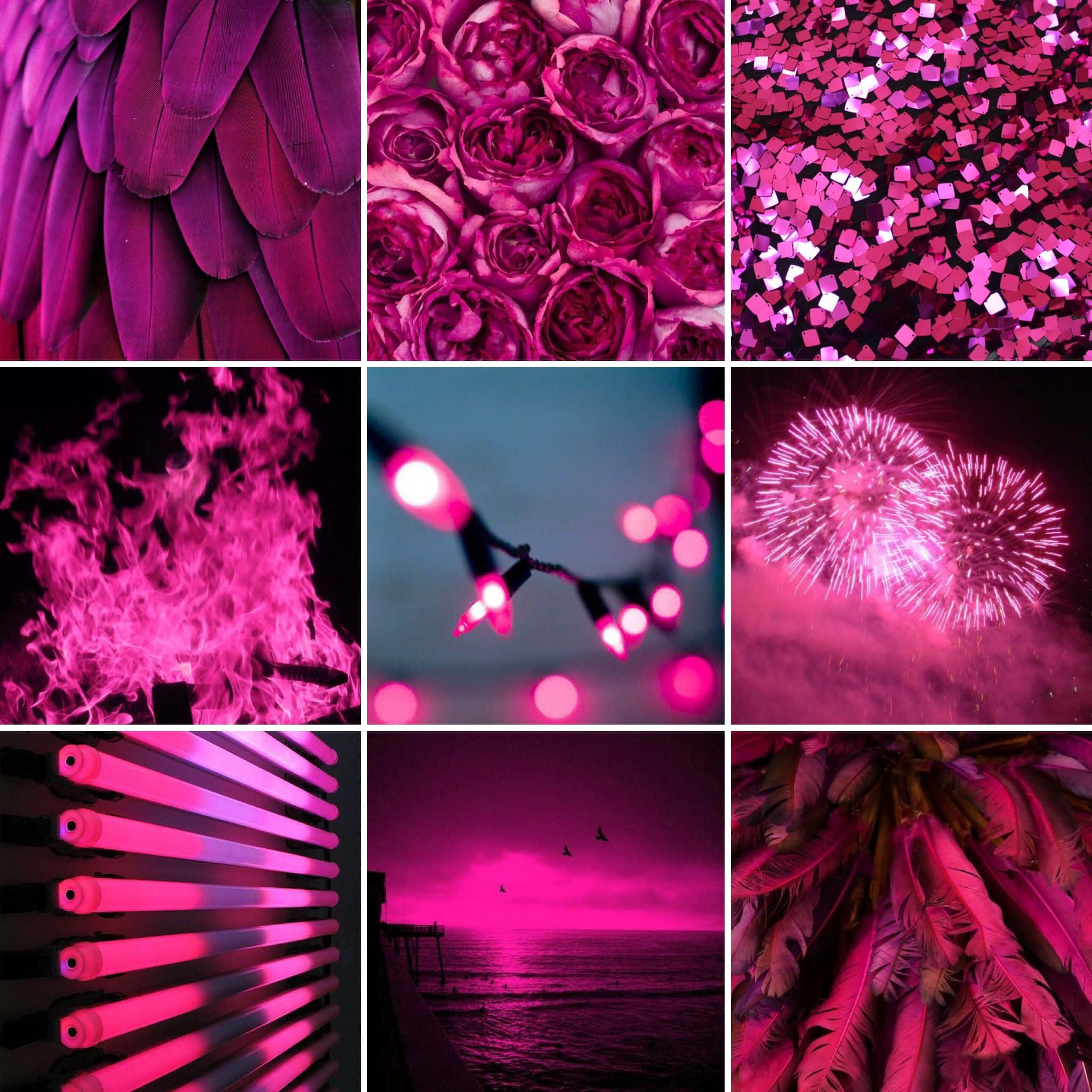 Magenta Aesthetic, pink-themed collage, feathers, Full HD Desktop Wallpaper