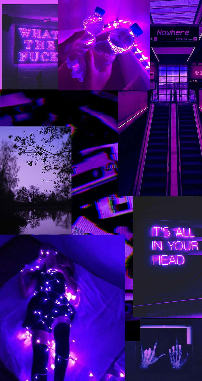 Magenta Aesthetic, neon signs, glowing string lights, HD Phone Wallpaper