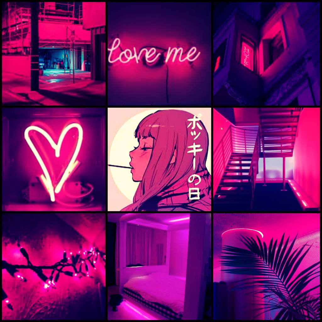 Magenta Aesthetic, neon collage, pink and purple neon, SD Desktop Wallpaper