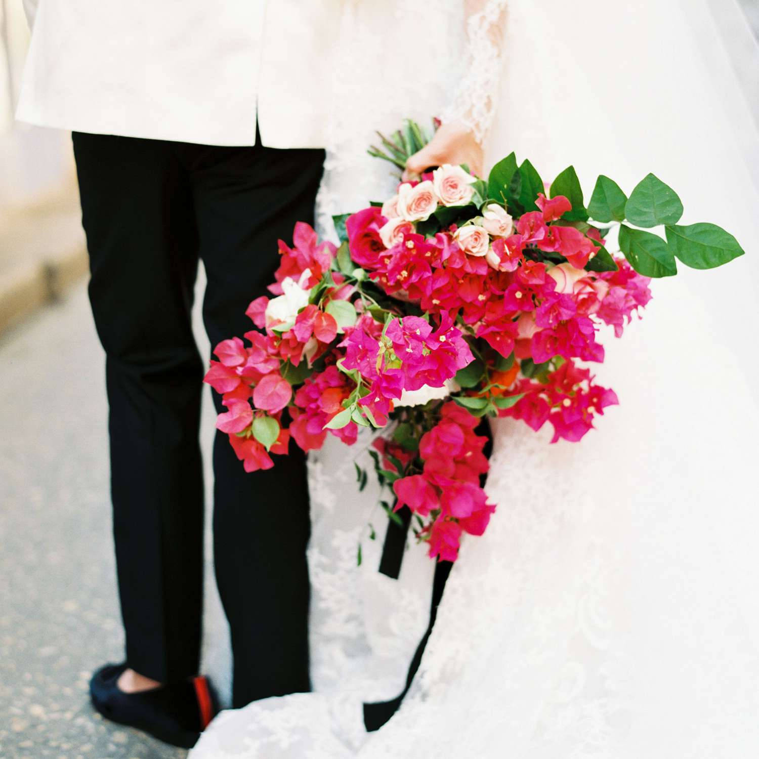 magenta flowers, bougainvillea, blush roses, HD Desktop Wallpaper