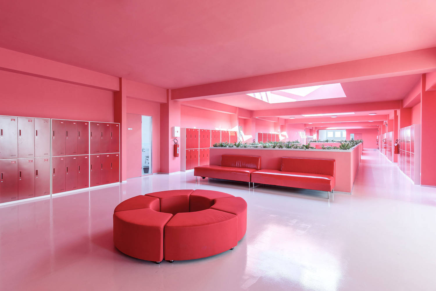 Magenta, vibrant pink, circular red seating, HD Desktop Wallpaper