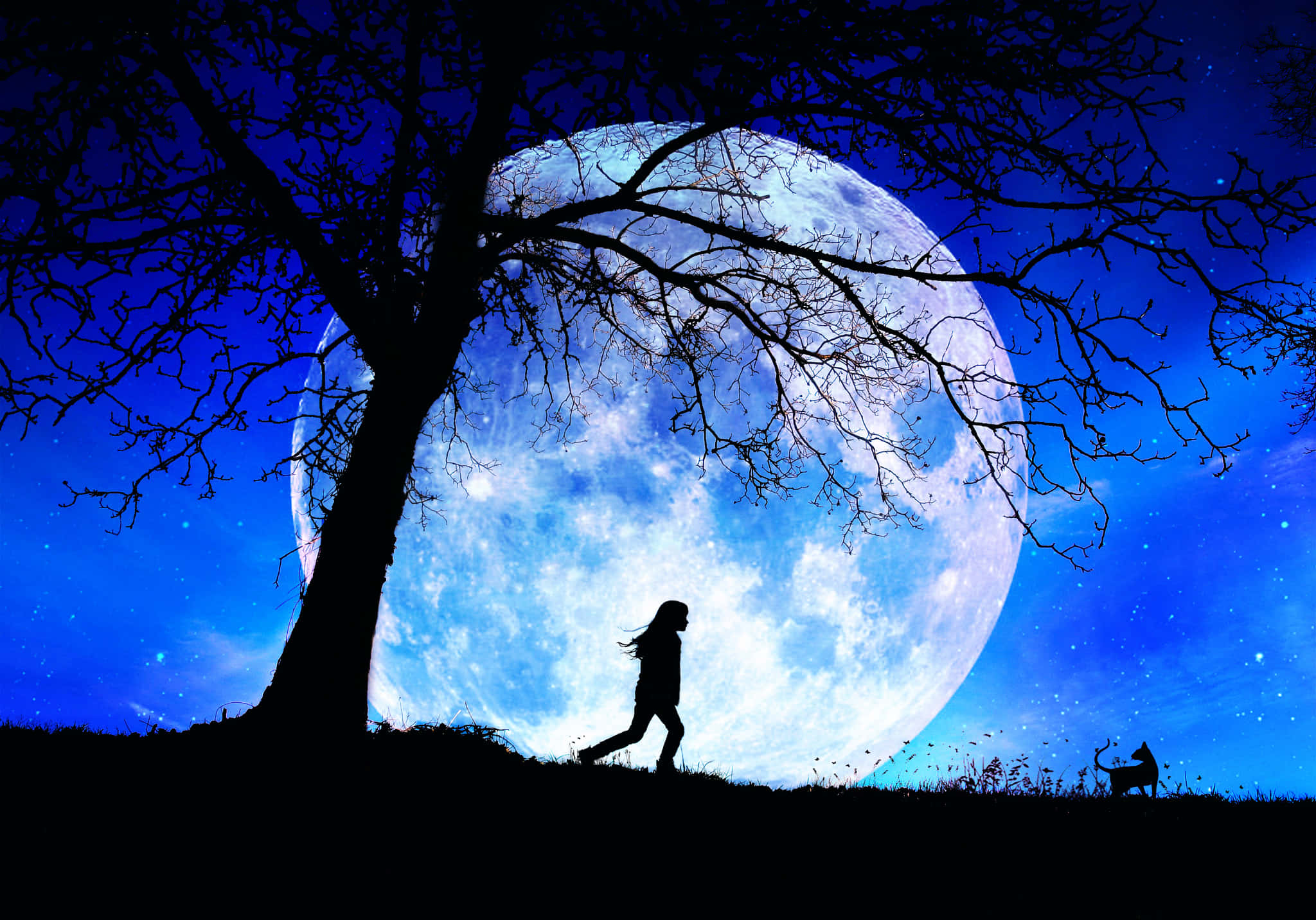Magic Moon, giant moon, starry night sky, Full HD Desktop Wallpaper