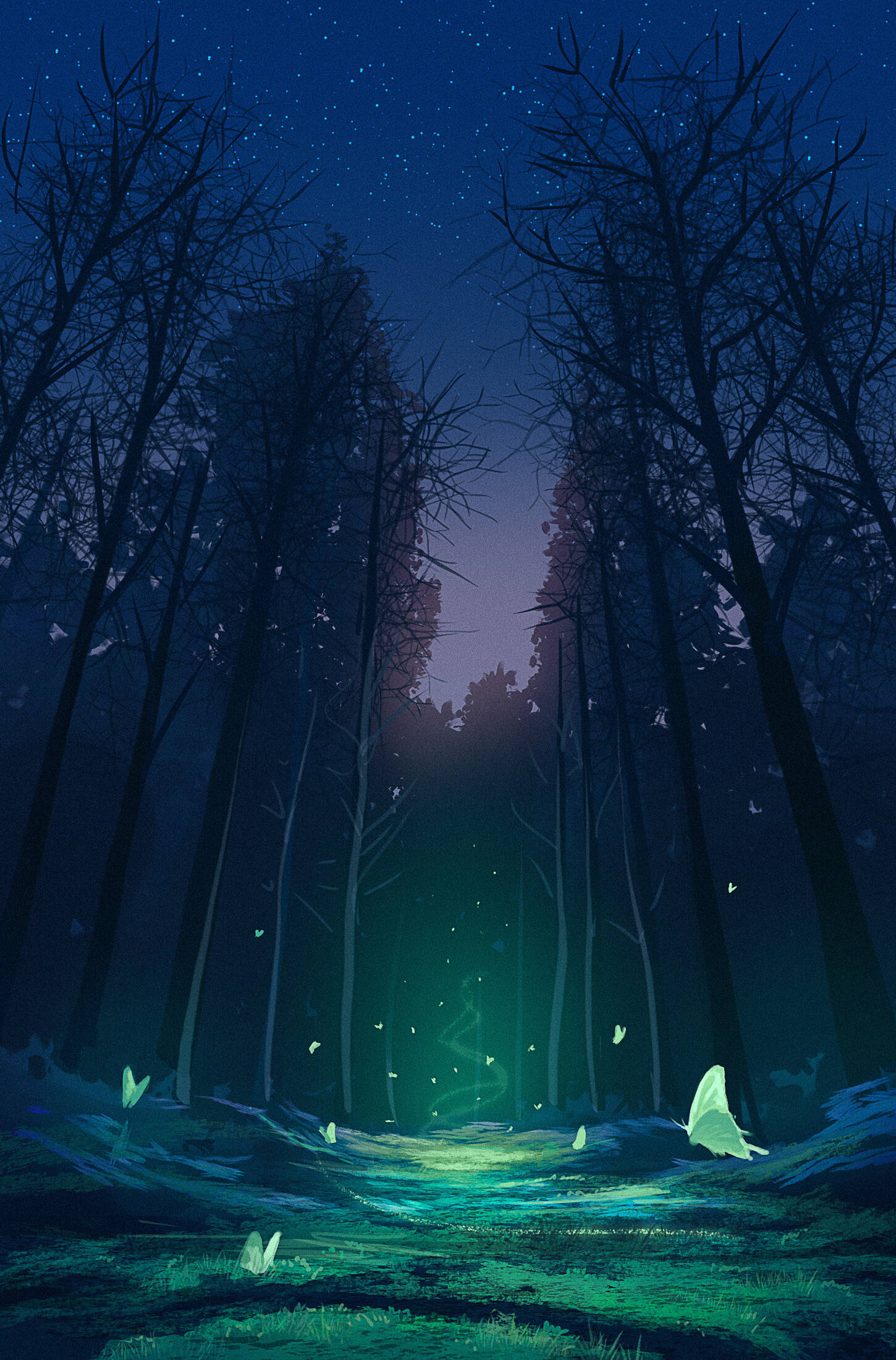 magic, forest, night, Full HD Phone Wallpaper