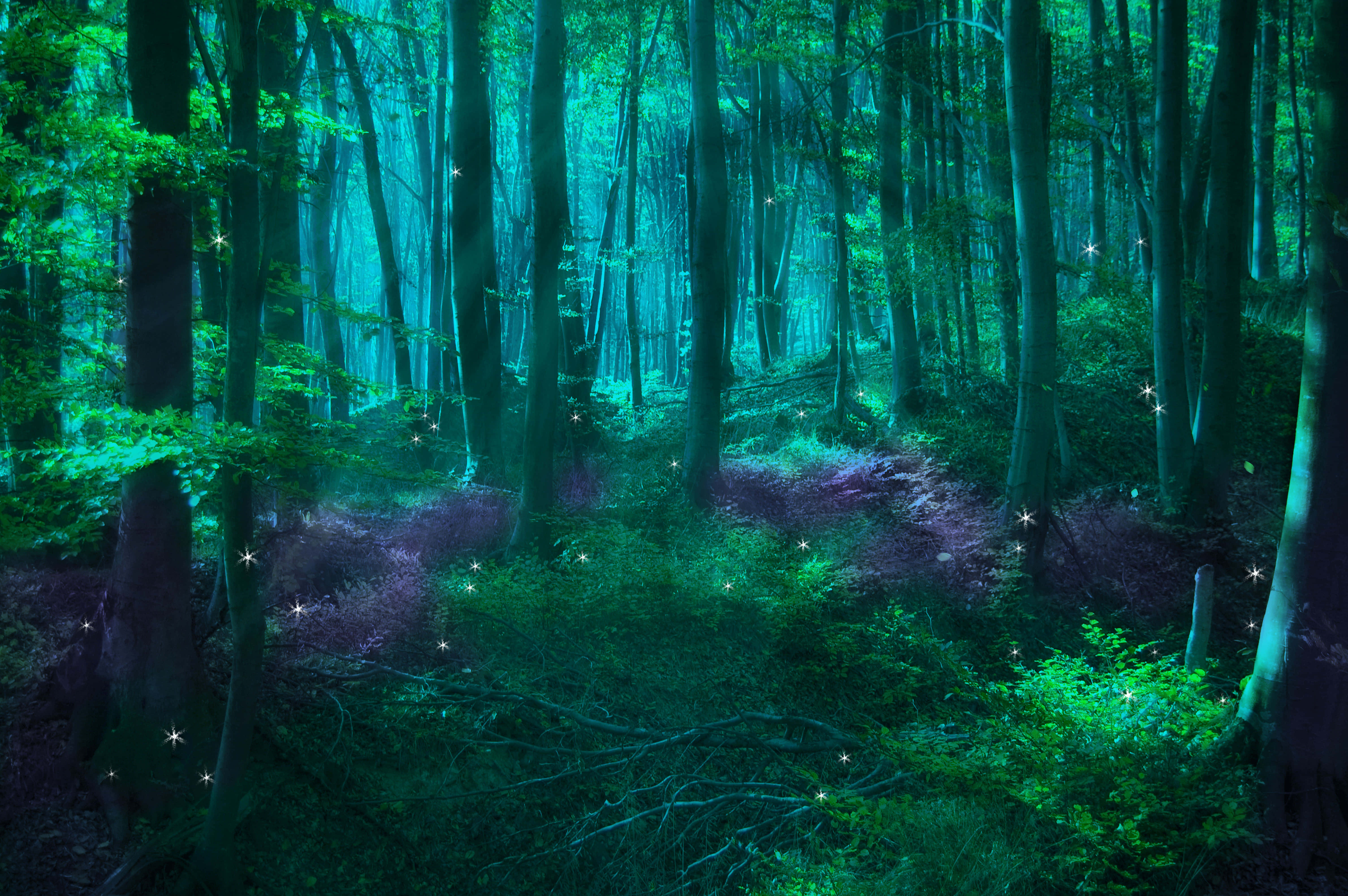 Magical Forest, glowing teal light, sparkling particles, 5K Desktop Wallpaper