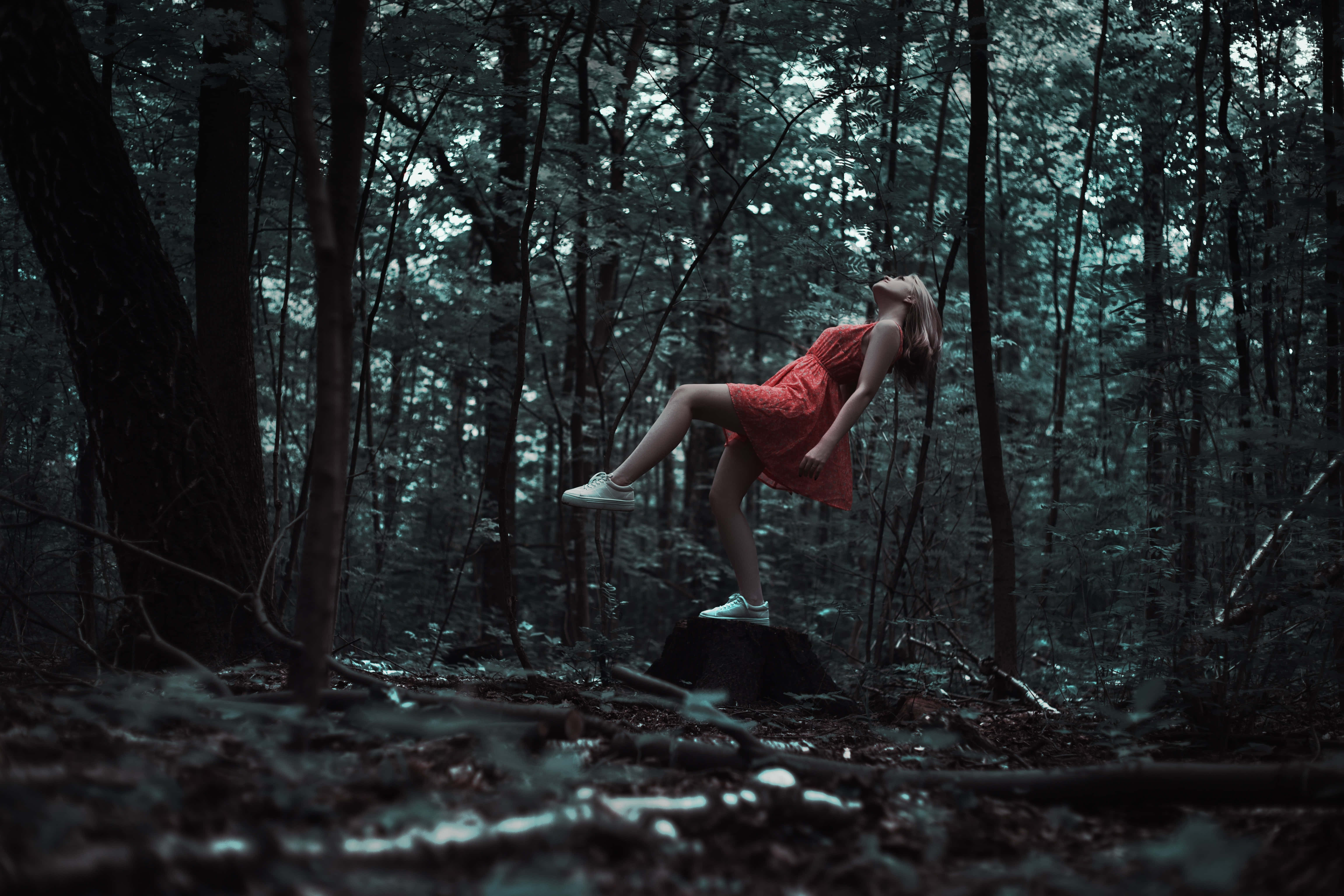 magical forest, red dress, tree stump, 5K Desktop Wallpaper