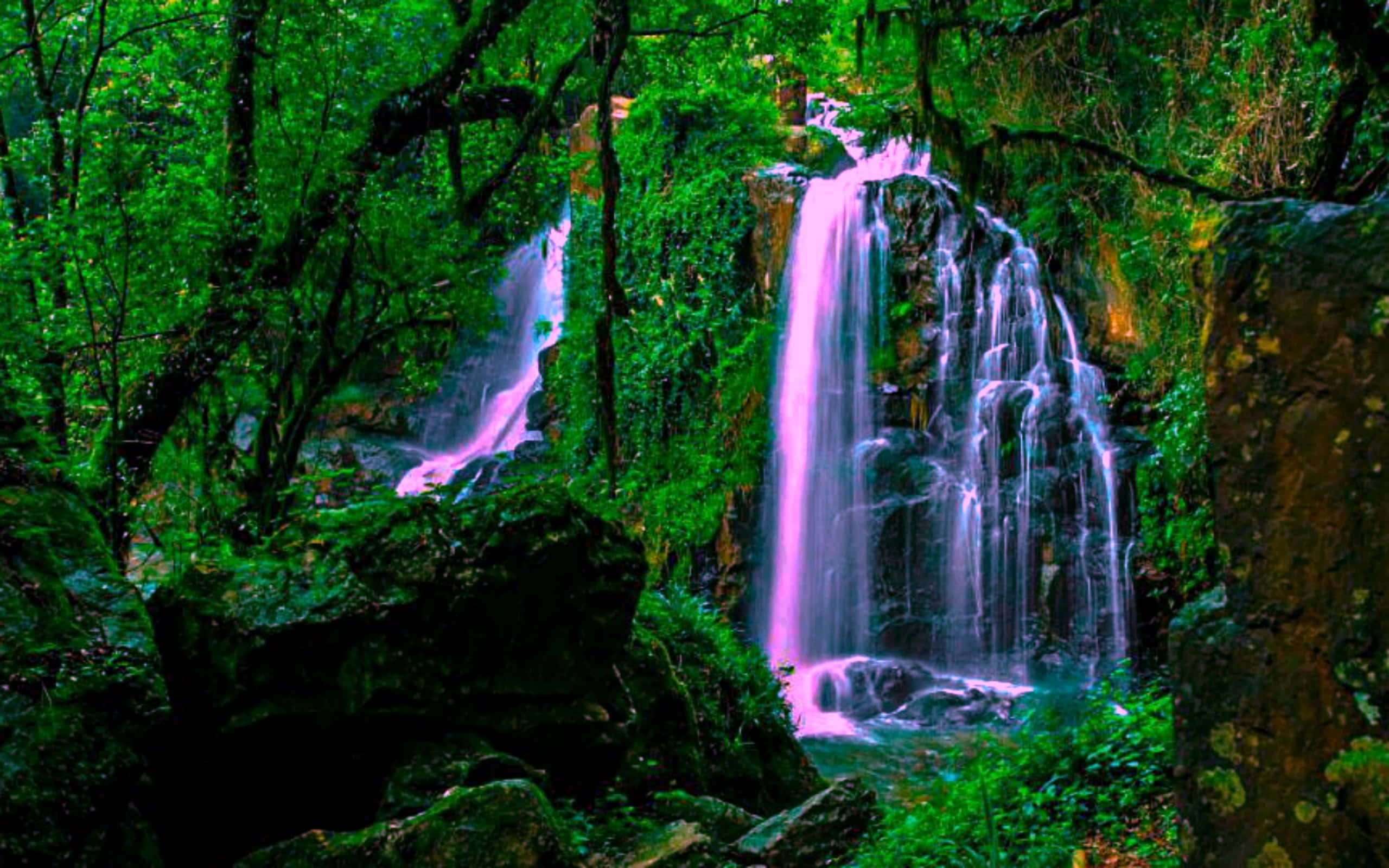 Magical Forest, vibrant waterfall, lush green forest, 2K Desktop Wallpaper