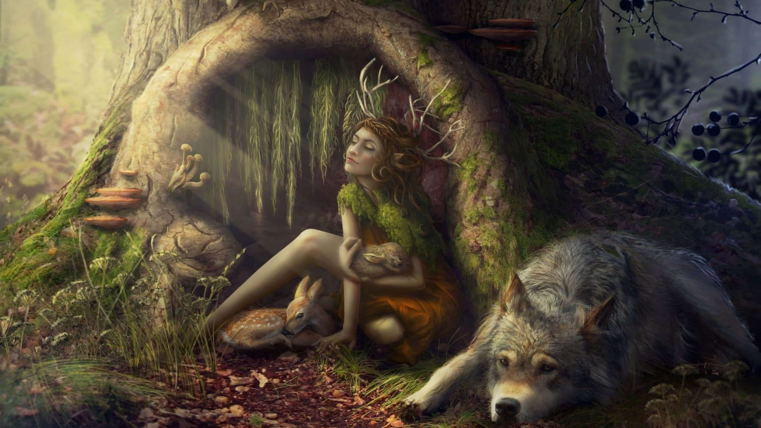 Magical Forest, fairy, antlers, 2K Desktop Wallpaper