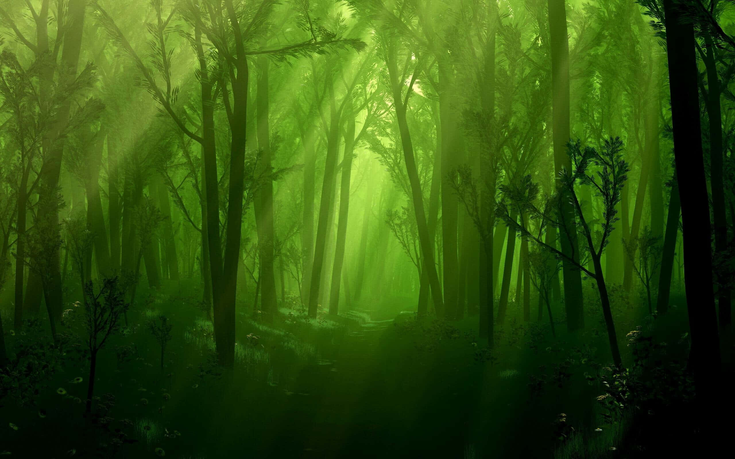 Neon Green Magical Forest, Sunlight, dense green forest, 2K Desktop Wallpaper