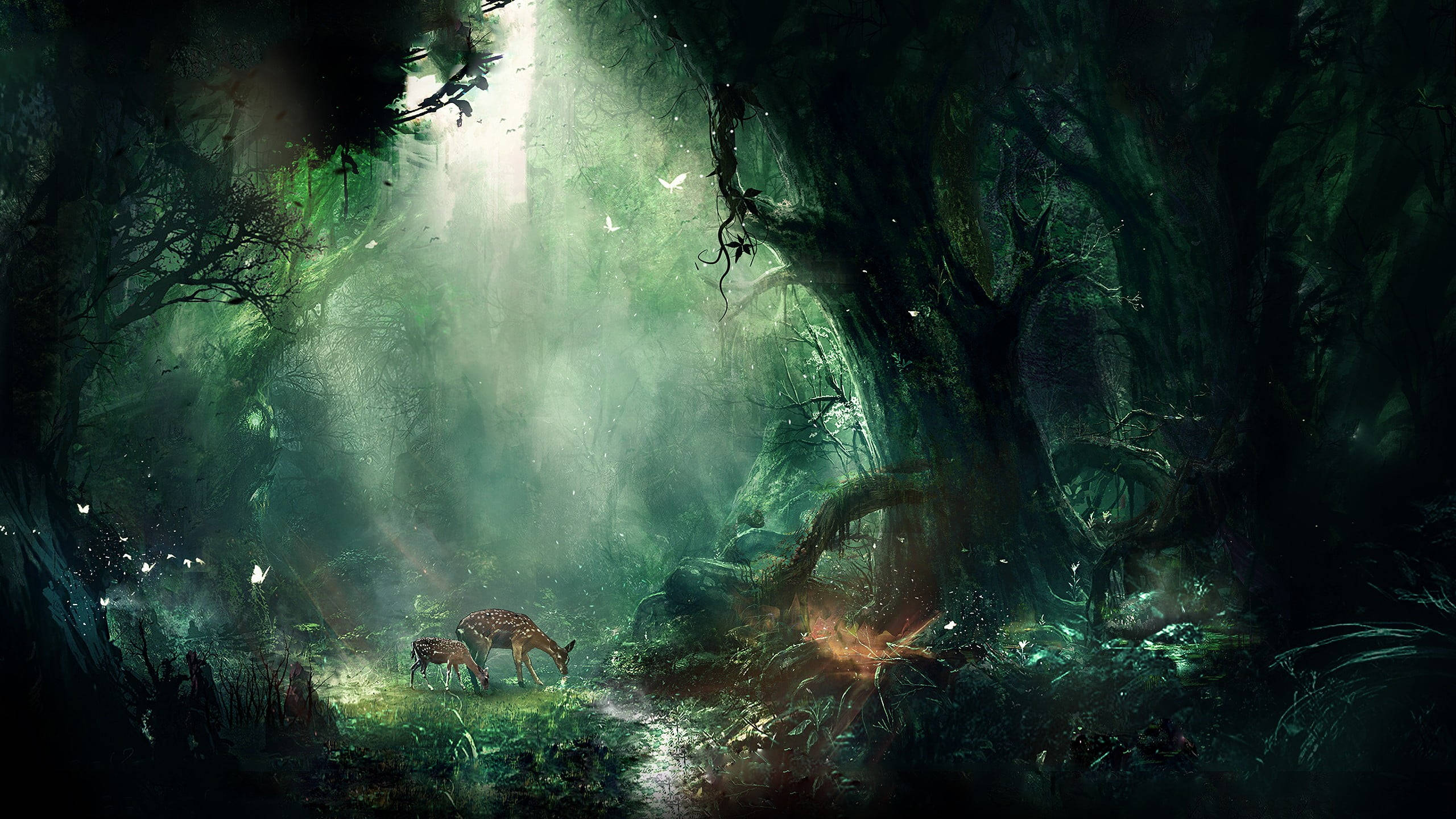 Magical And Creative Forest, Sunlight, dense mystical forest, 2K Desktop Wallpaper