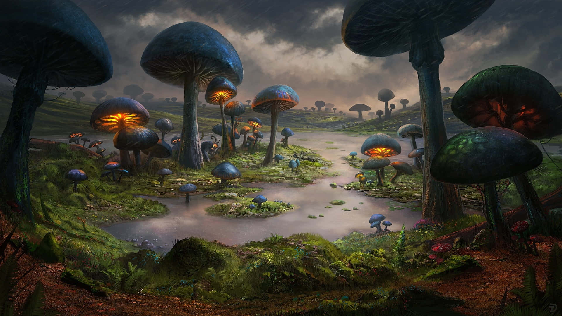 giant glowing mushrooms, misty forest floor, stormy twilight sky, Full HD Desktop Wallpaper