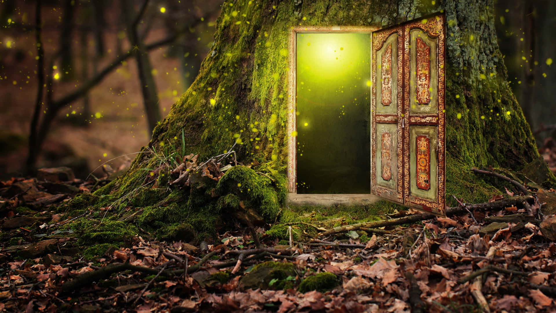 enchanted forest doorway, ornate wooden door, mossy tree trunk, Full HD Desktop Wallpaper