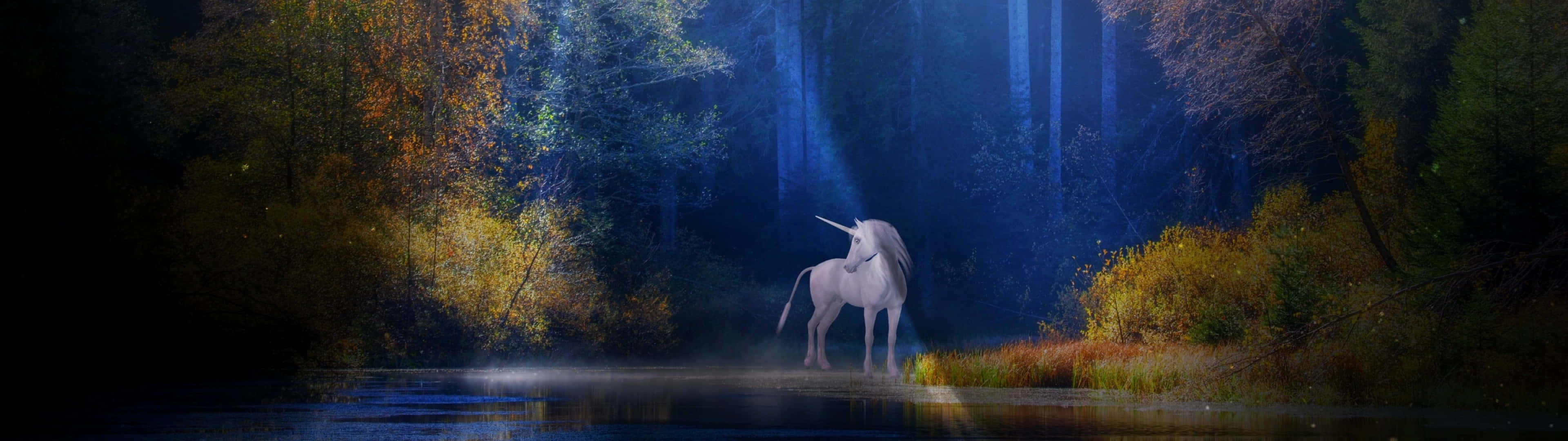 magical unicorn, white unicorn, misty forest stream, 4K Desktop Wallpaper