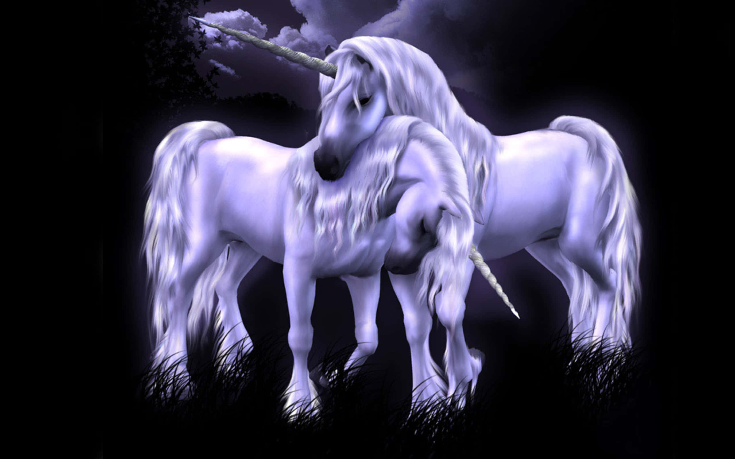 Magical Unicorn, glowing white unicorns, dark forest, 2K Desktop Wallpaper
