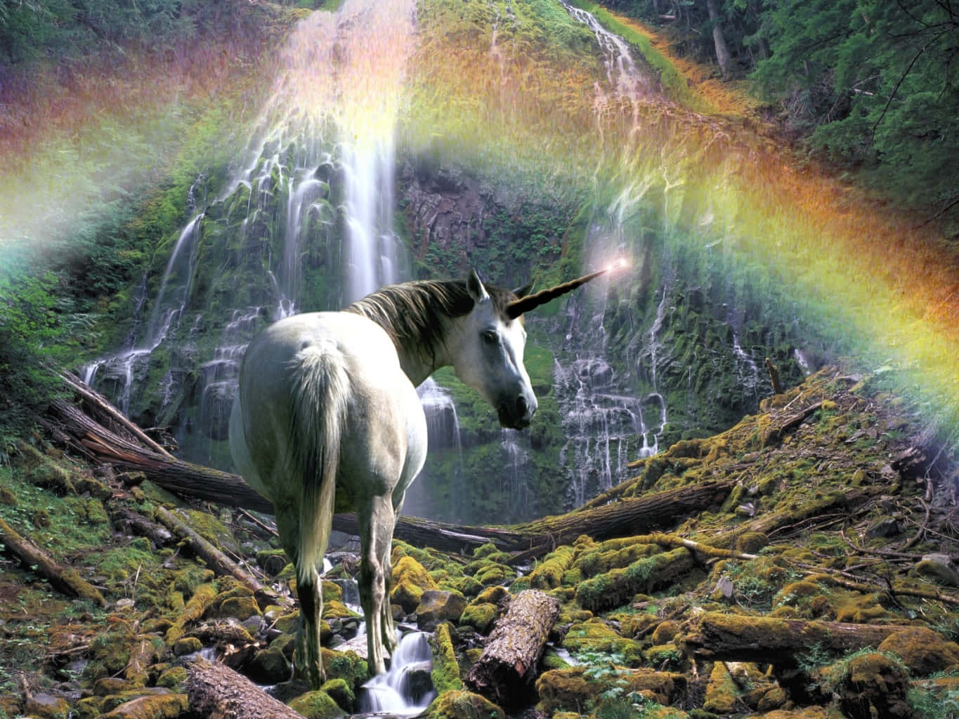 Magical Unicorn, white unicorn, mossy forest clearing, HD Desktop Wallpaper