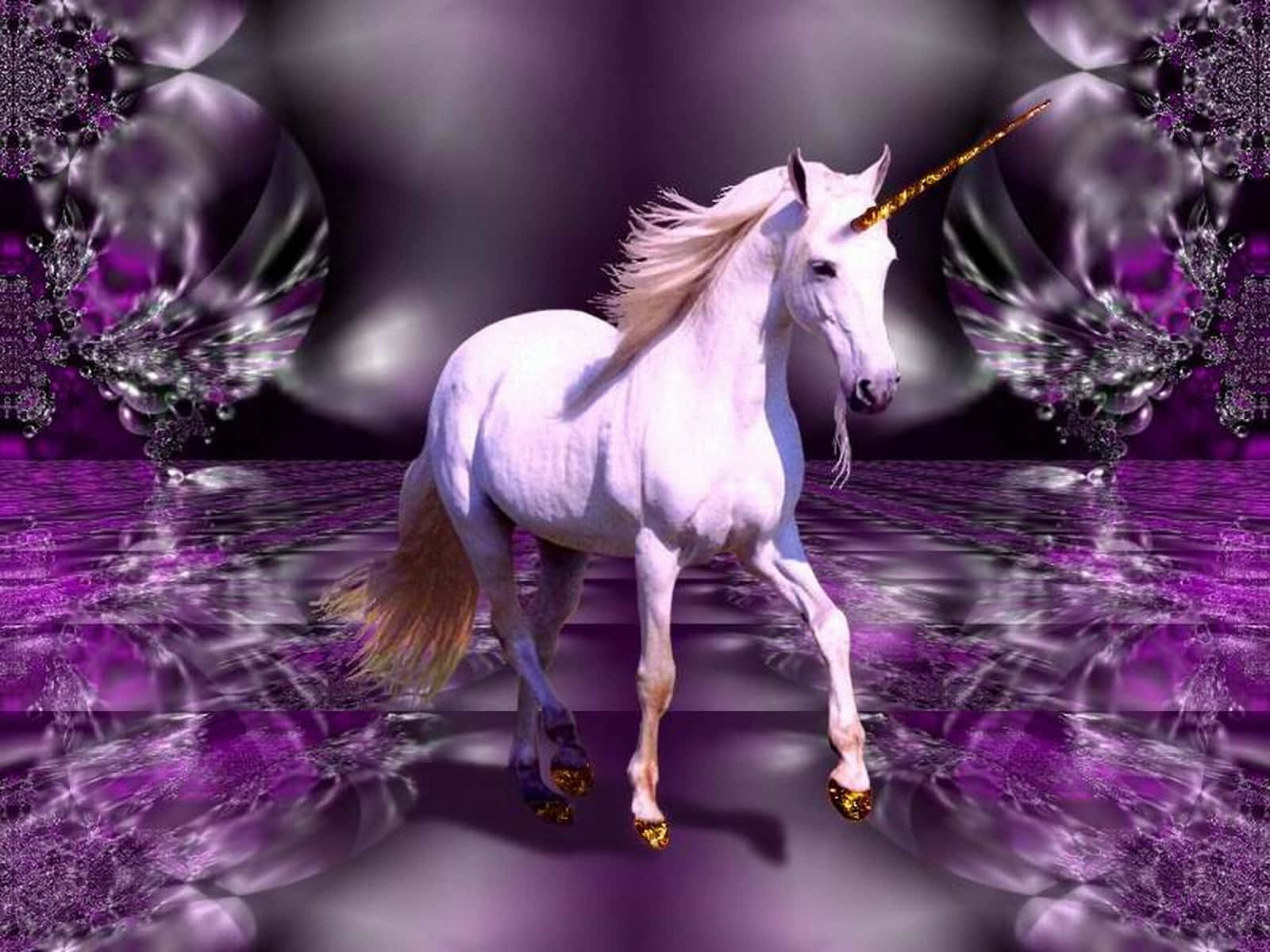 Magical Unicorn, white unicorn, golden horn, HD Desktop Wallpaper