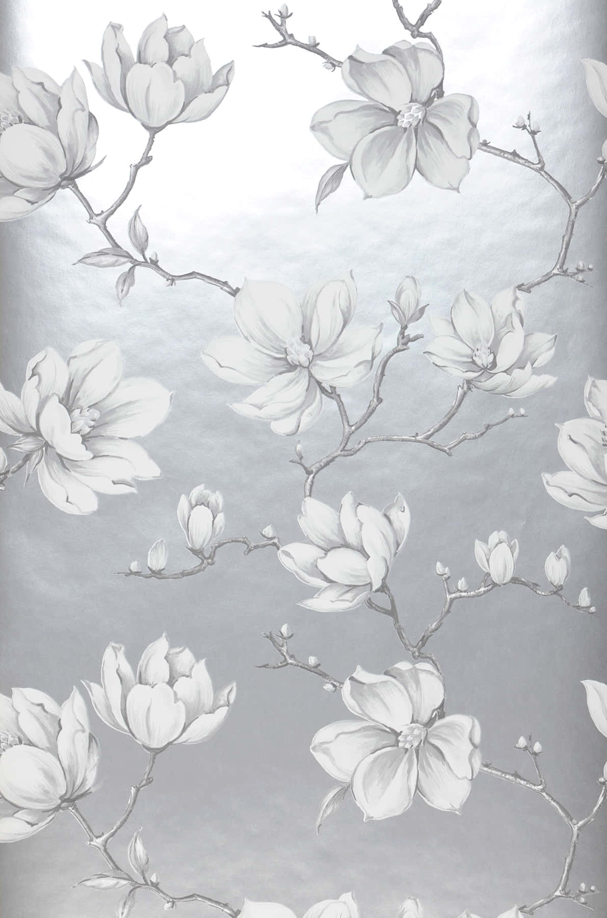 magnolia flower, silver, magnolia blossoms, HD Phone Wallpaper