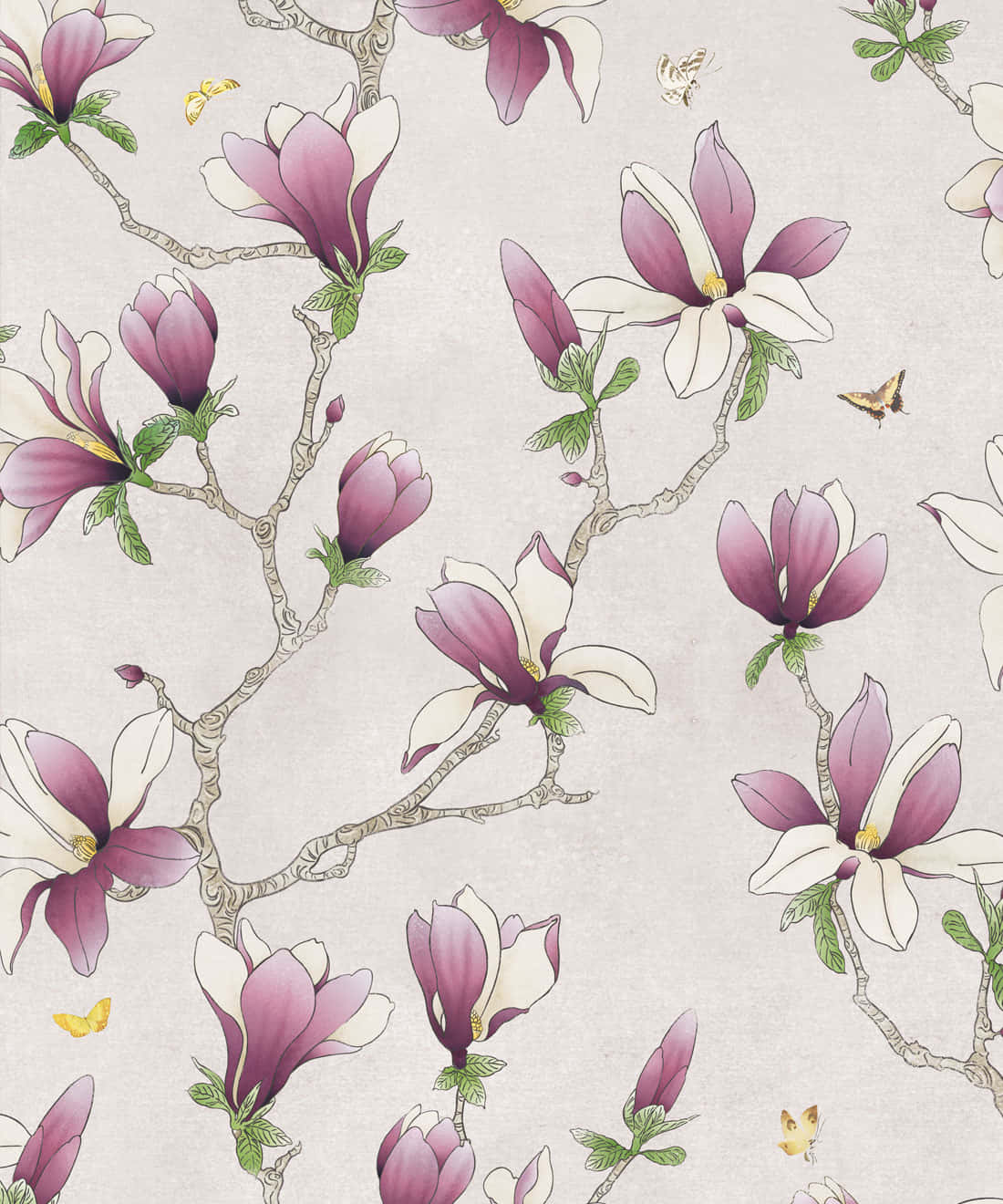 magnolia flower, purple and white magnolia blossoms, textured beige background, HD Phone Wallpaper