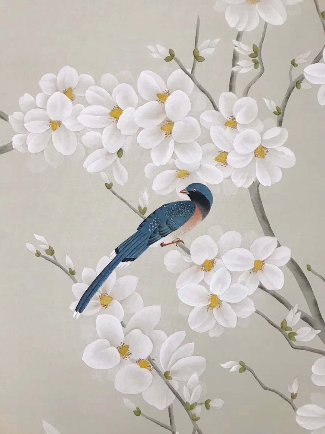 magnolia flower, blue bird, white magnolia blossoms, HD Phone Wallpaper