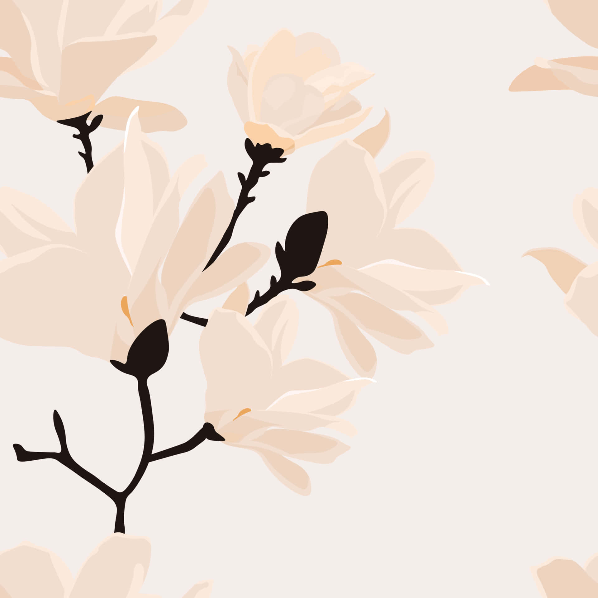 pastel colored magnolia flower, cream magnolia blossoms, stark black branches, Full HD Desktop Wallpaper