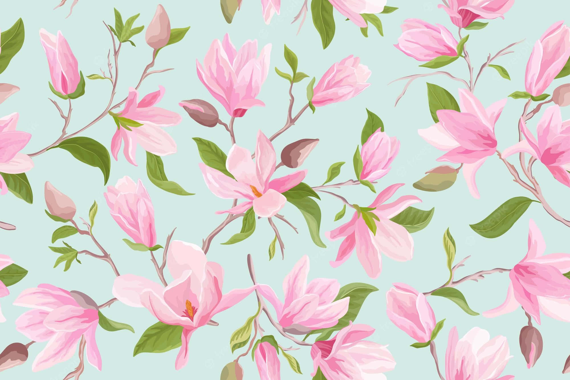 pink magnolia flower, magnolia blossoms, magnolia buds, Full HD Desktop Wallpaper