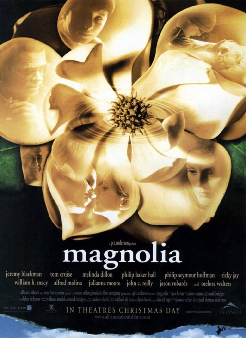 Magnolia, golden magnolia flower, translucent petals, HD Phone Wallpaper