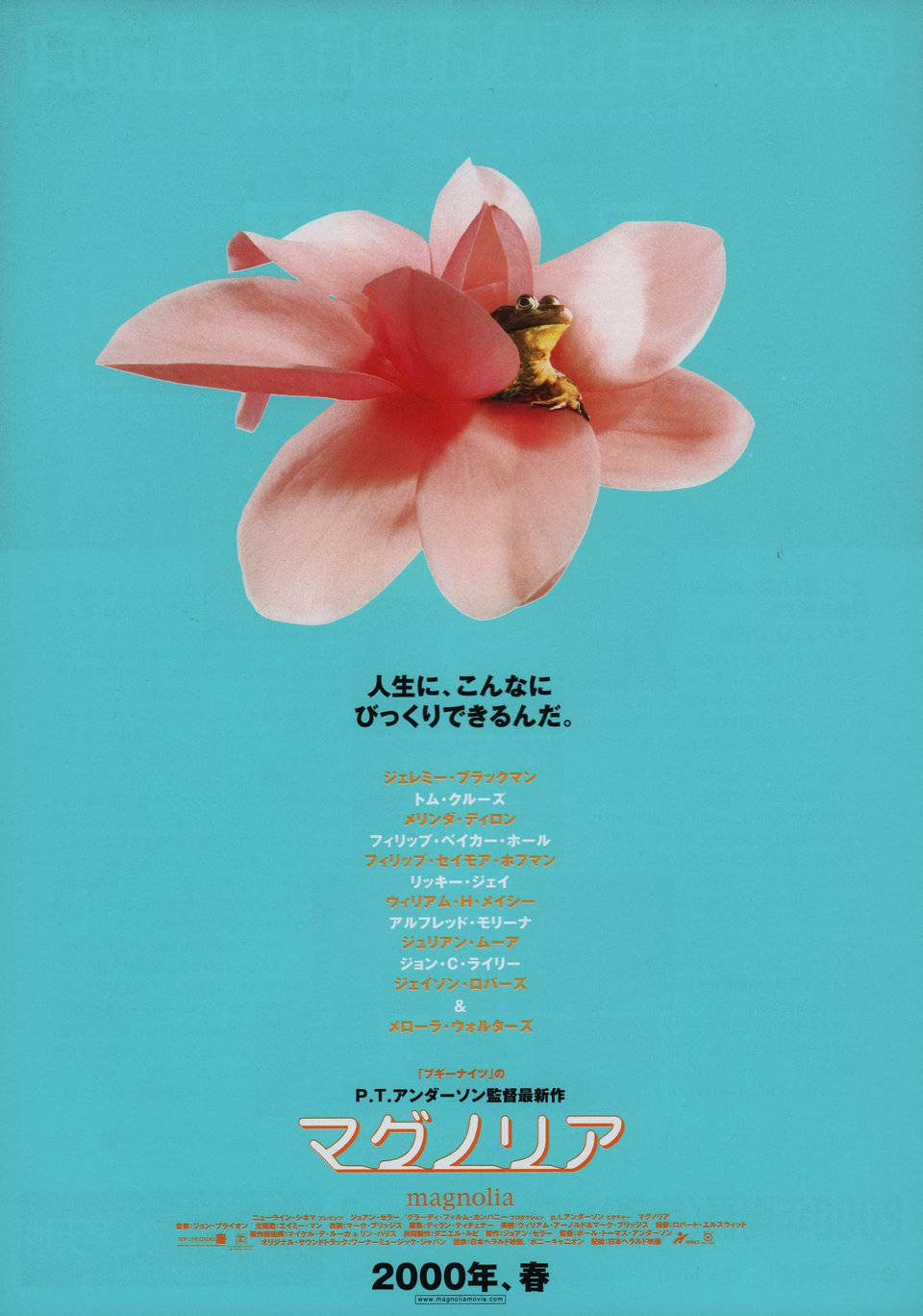 magnolia flower, turquoise background, Japanese text, HD Phone Wallpaper