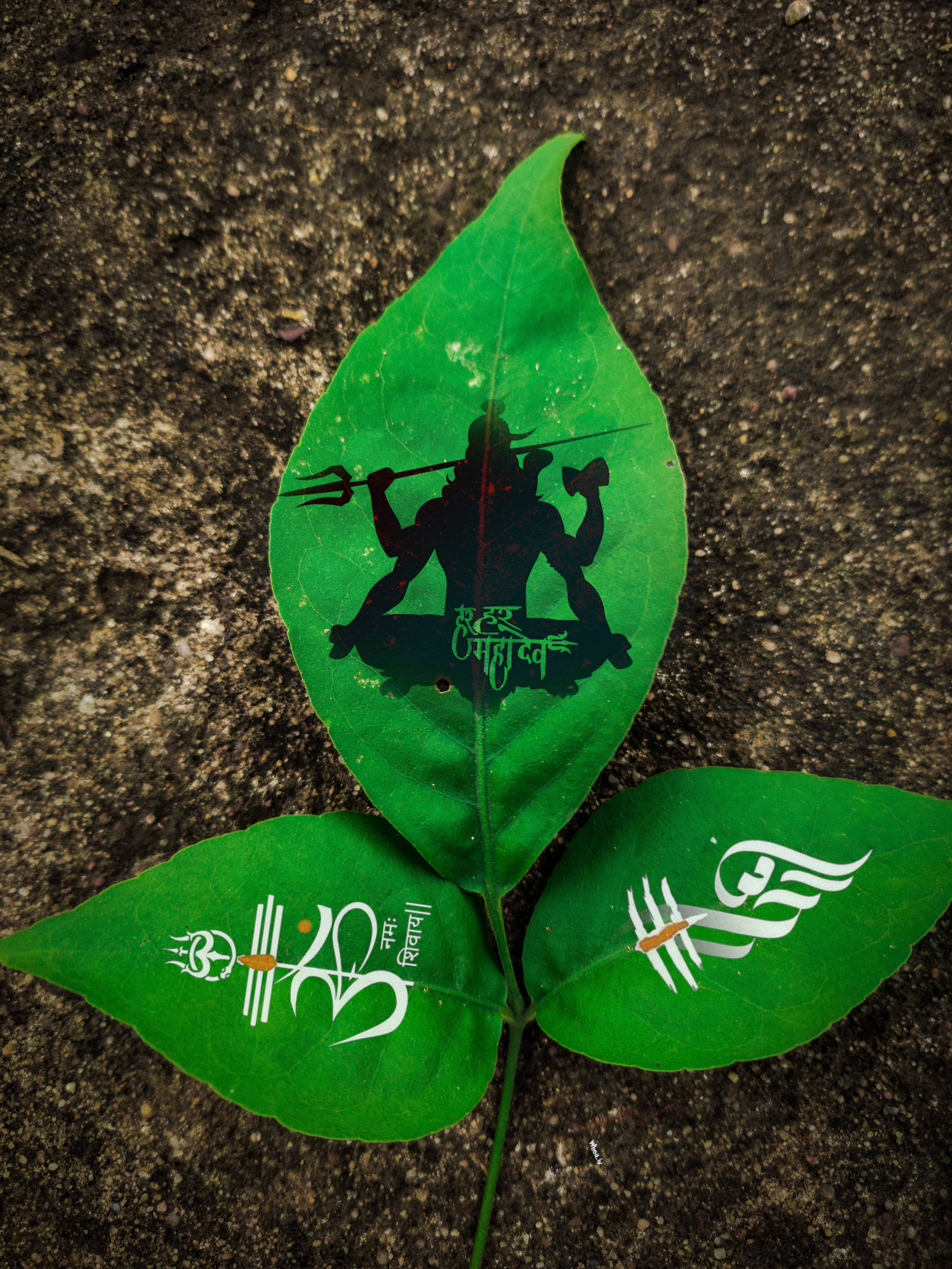 Mahadev Full HD, leaf art, vibrant green leaves, 5K Phone Wallpaper