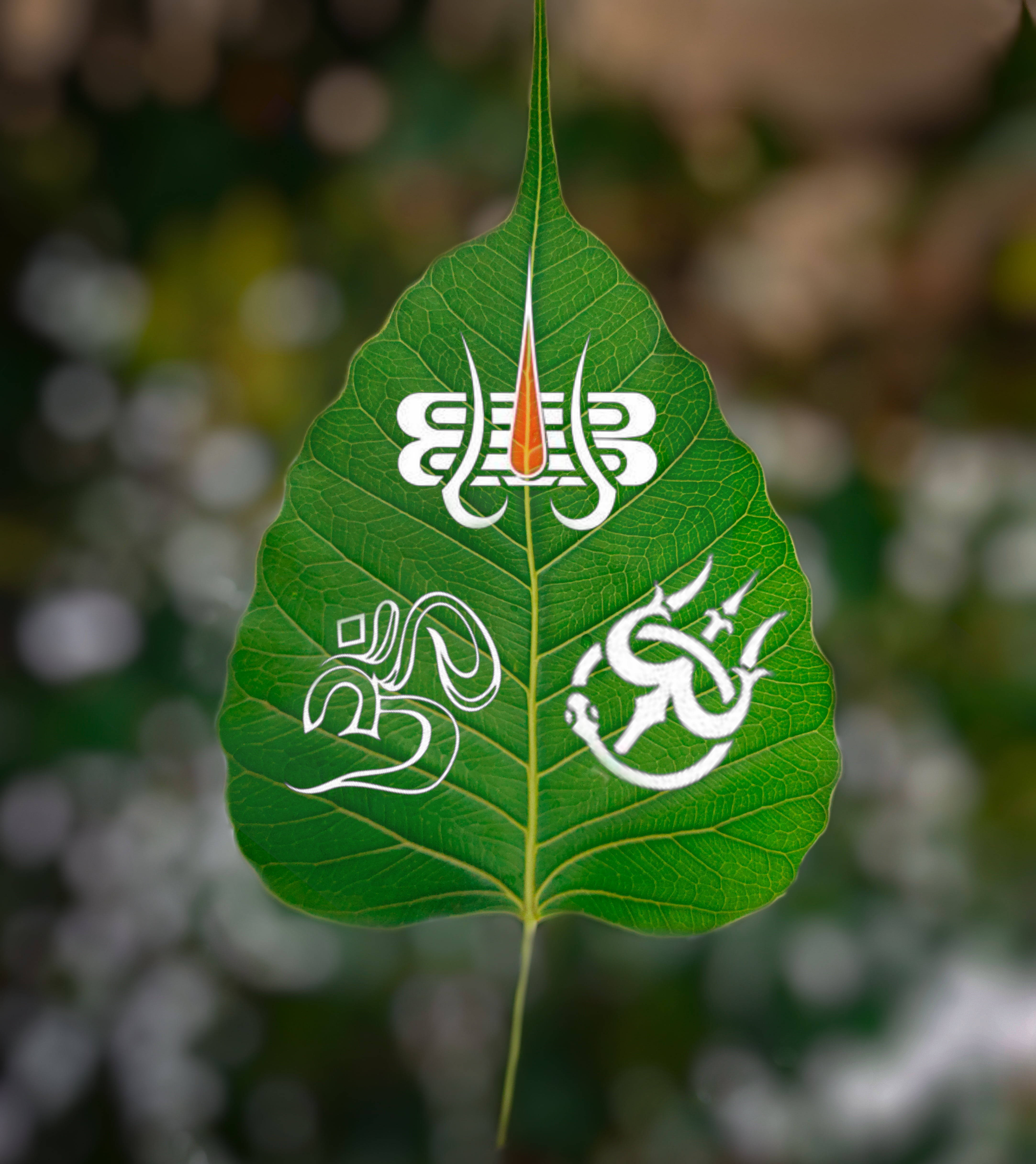 Mahakal Logo, Bodhi leaf, white and orange spiritual symbols, 4K Phone Wallpaper