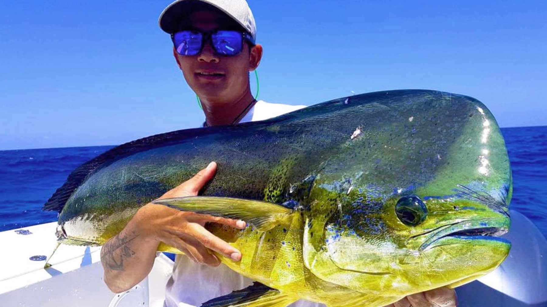 angler, large mahi mahi catch, iridescent dorado fish, HD Desktop Wallpaper