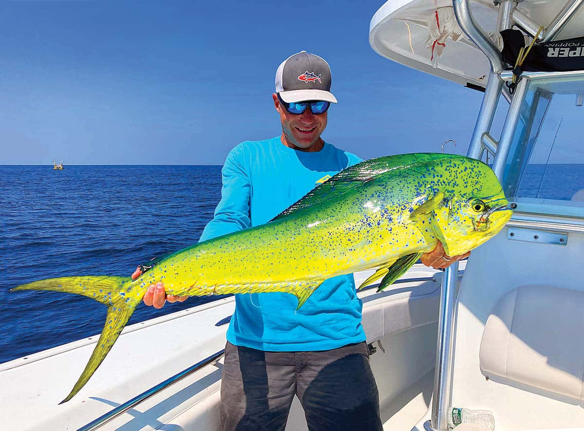 angler, white boat, vibrant yellow and green mahi mahi, SD Desktop Wallpaper