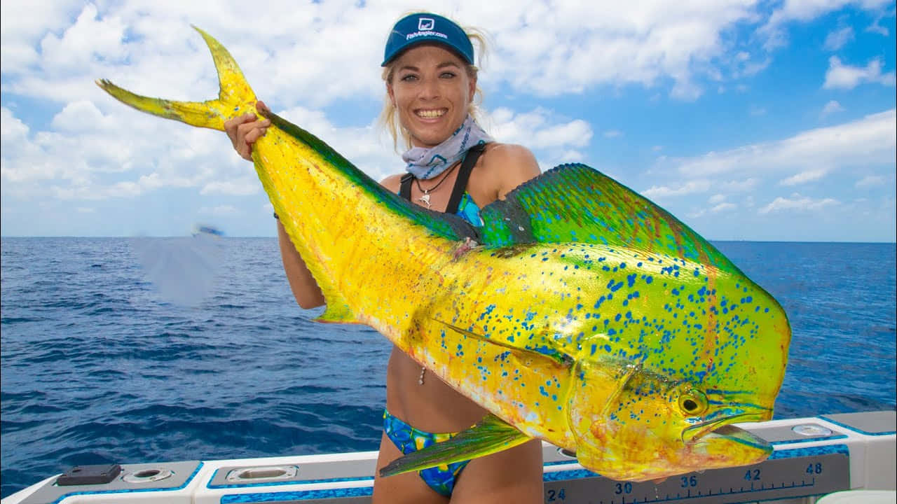 angler, blue cap, massive iridescent yellow and green mahi mahi fish, HD Desktop Wallpaper