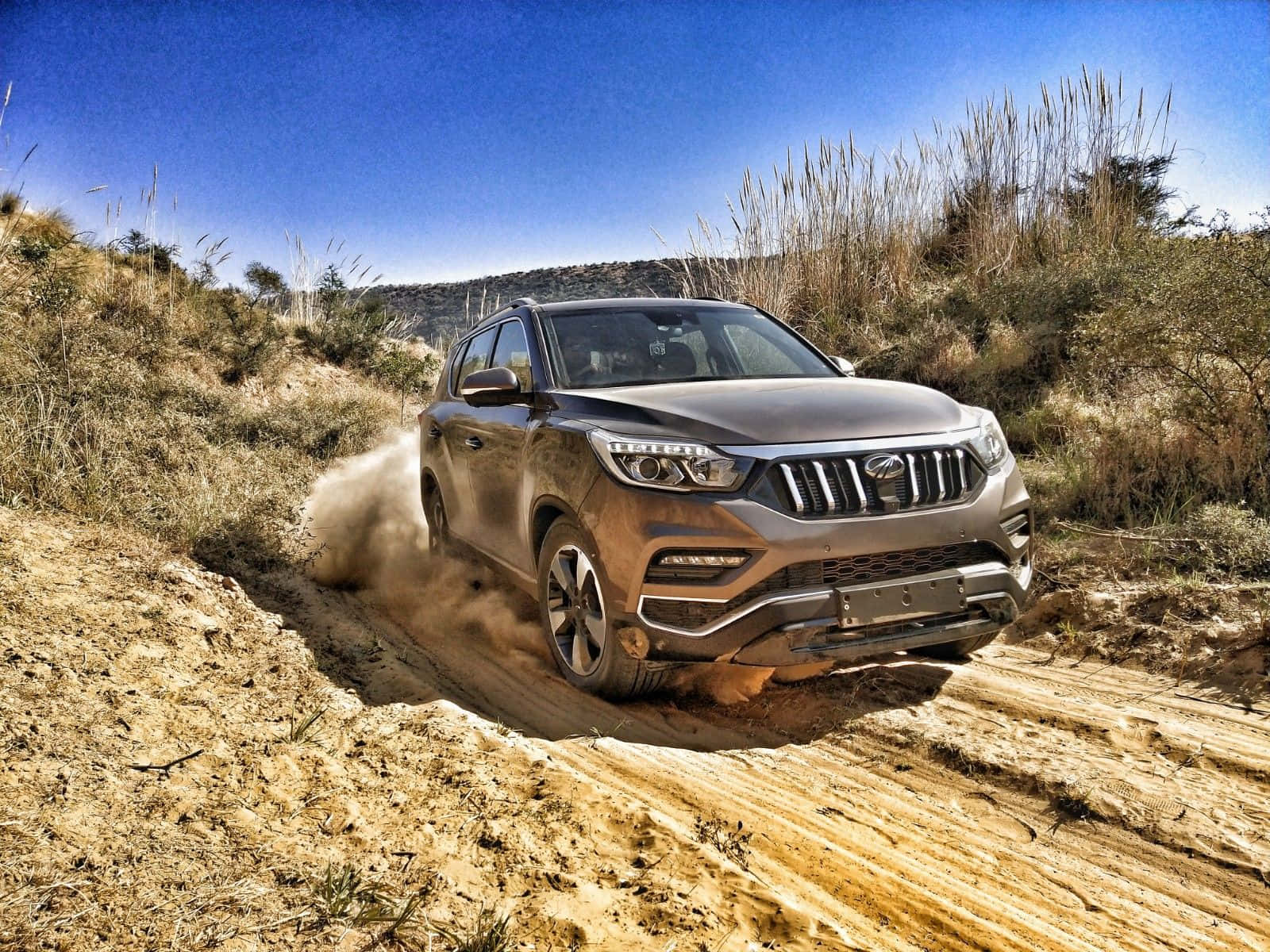 Mahindra Alturas G4, silver, dry grassy hillside, HD Desktop Wallpaper