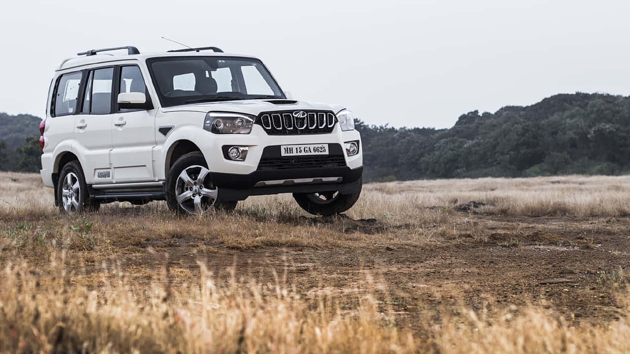 Mahindra Bolero, white SUV, dry grass, HD Desktop Wallpaper