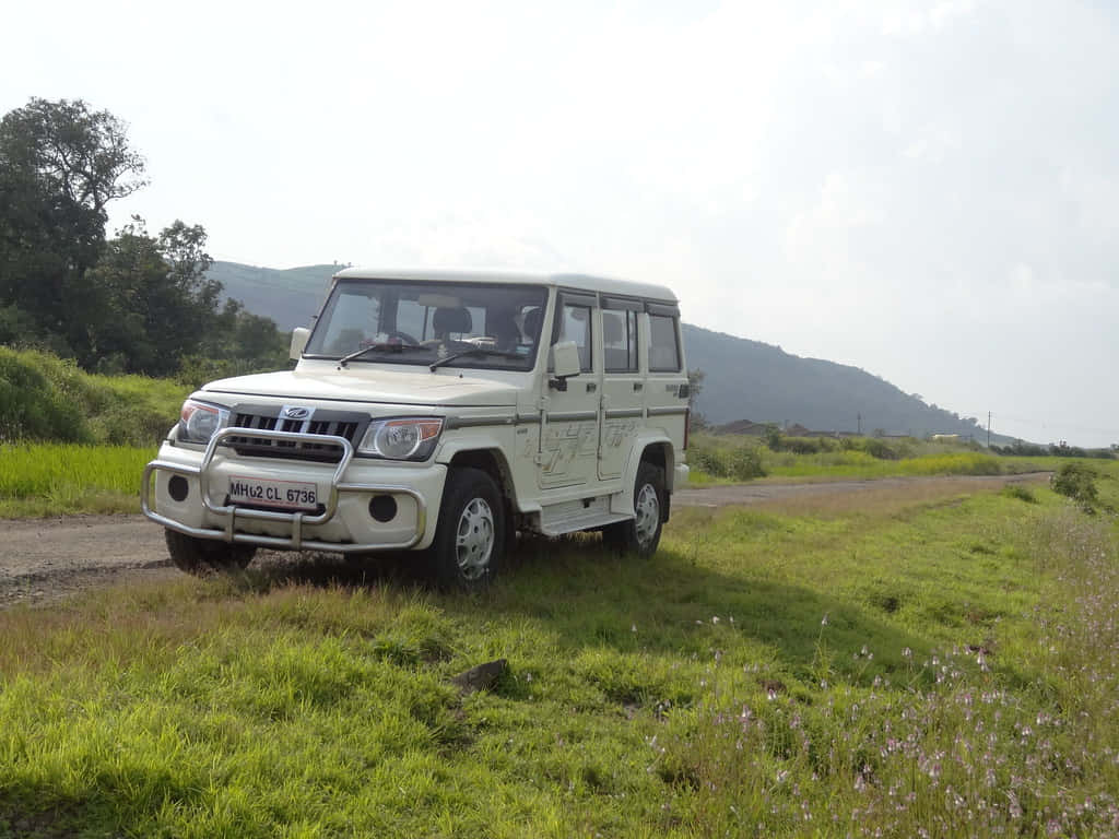 Mahindra Bolero, white SUV, grassy roadside, SD Desktop Wallpaper