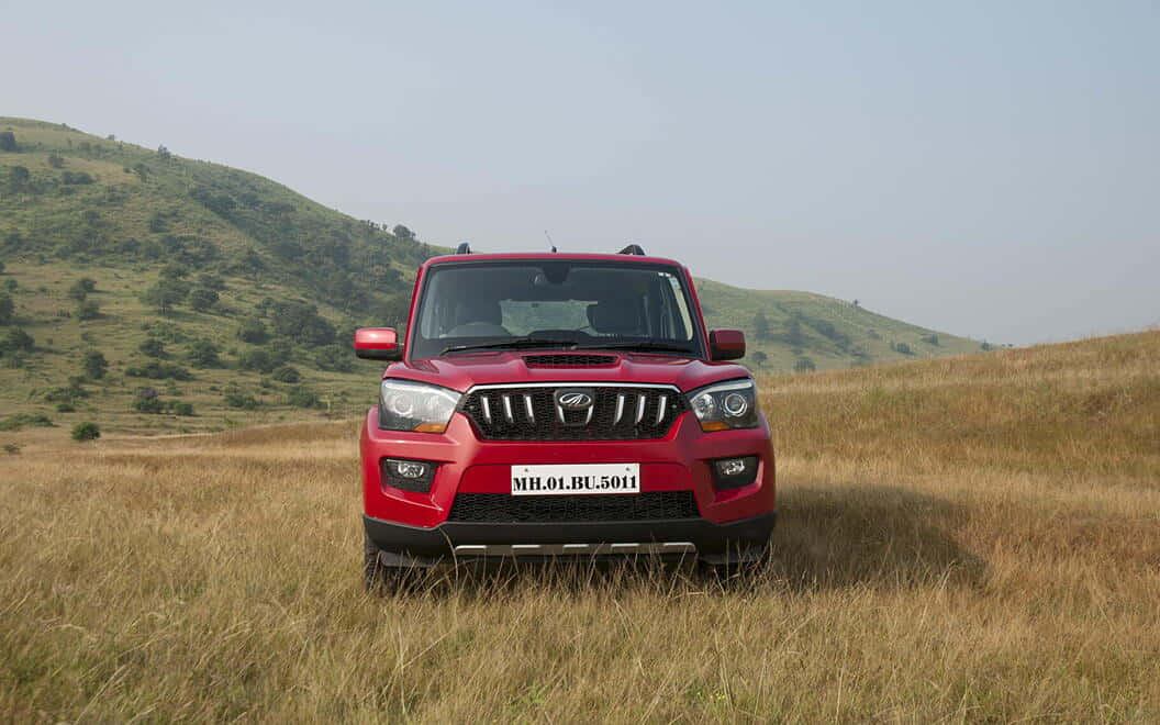 Mahindra Scorpio, bold red SUV, tall golden grass, SD Desktop Wallpaper