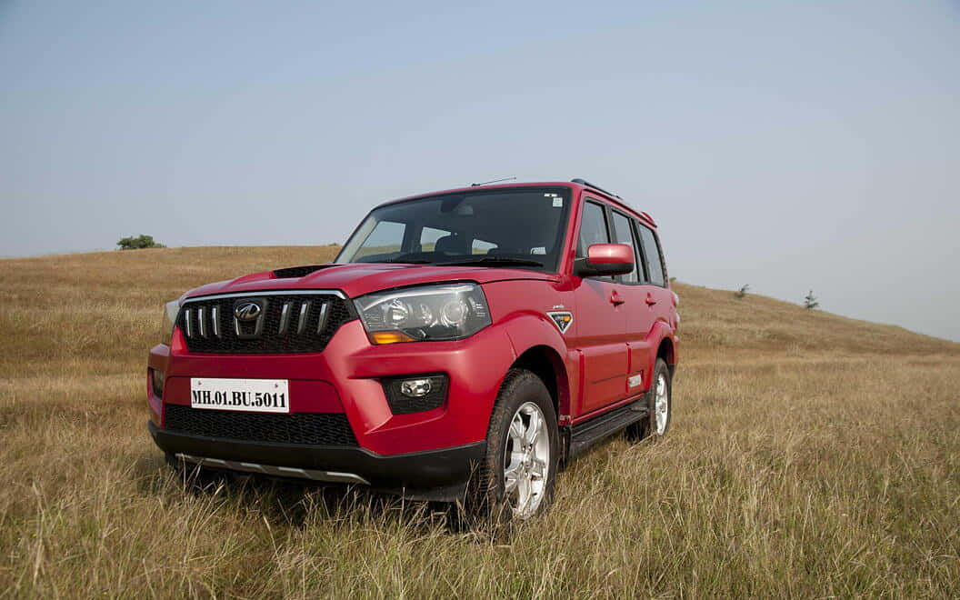 Mahindra Scorpio, vibrant red, sunlit field, SD Desktop Wallpaper