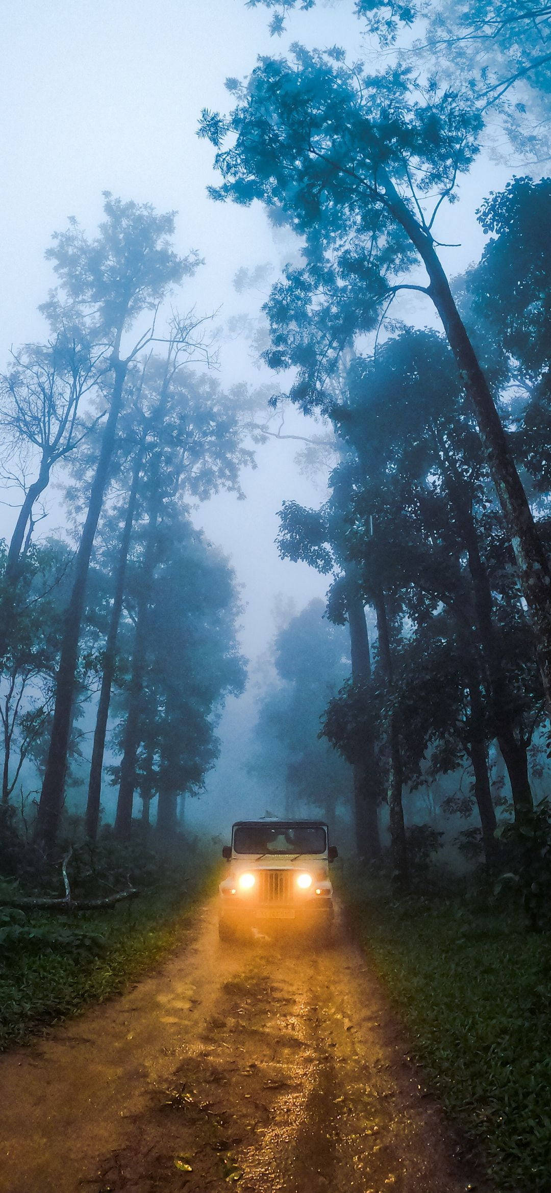 Mahindra Thar 2021, foggy forest, muddy forest trail, Full HD Phone Wallpaper