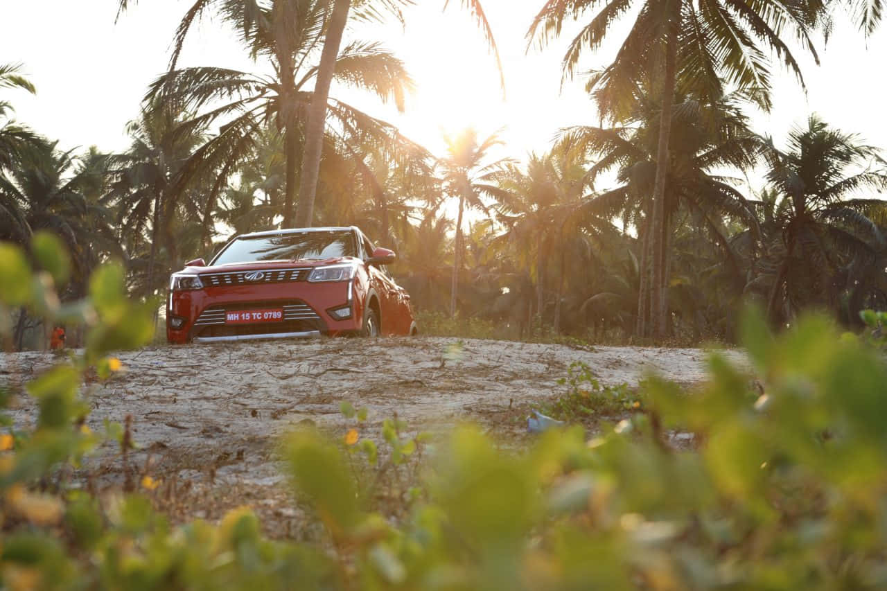 Mahindra XUV300, sunset, palm trees, HD Desktop Wallpaper